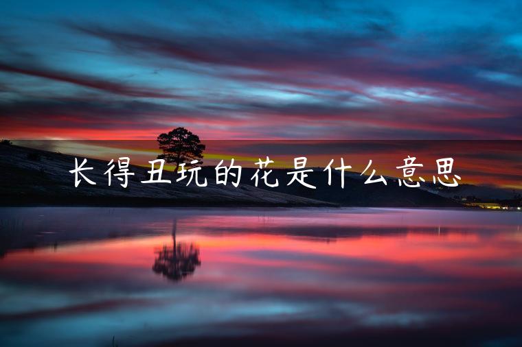 长得丑玩的花是什么意思 长得丑玩的花是什么意思