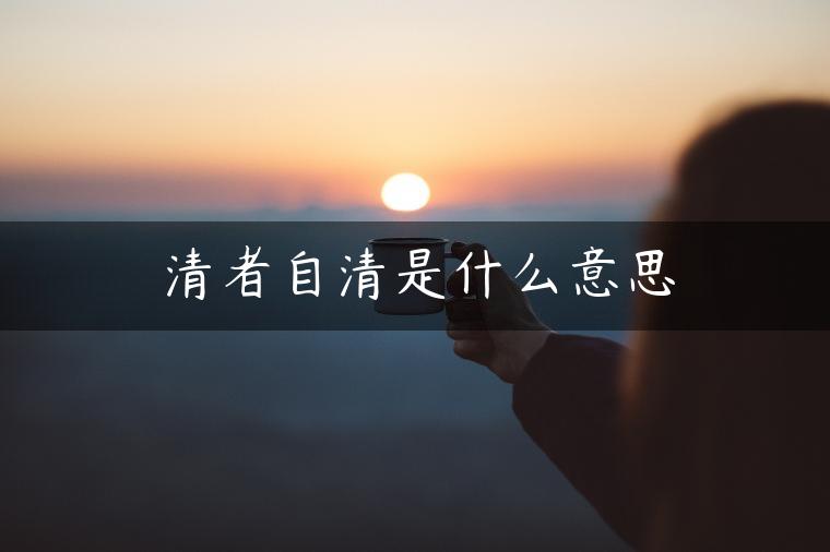 清者自清是什么意思 清者自清是什么意思