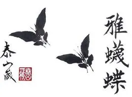 雅蠛蝶是什么意思