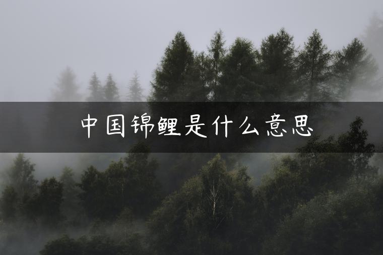 中国锦鲤是什么意思 中国锦鲤是什么意思