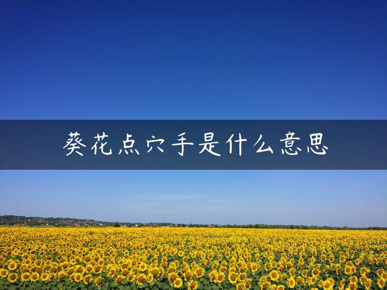 葵花点穴手是什么意思