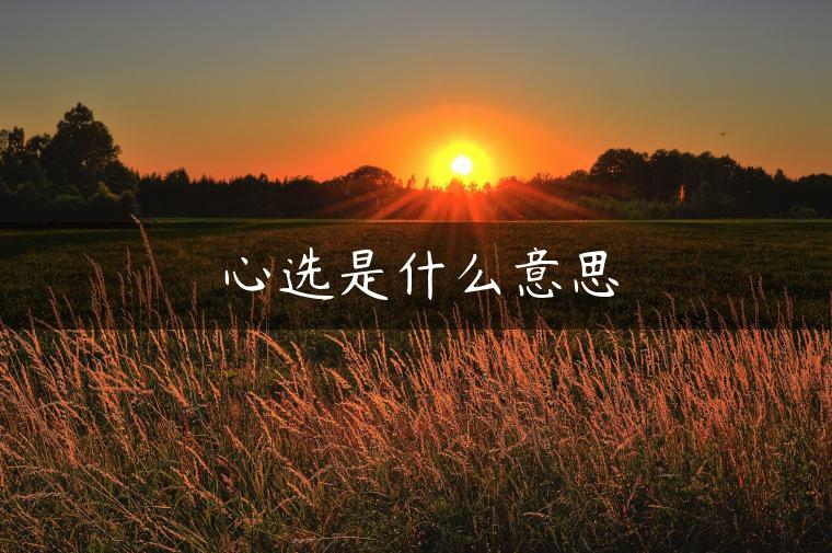 心选是什么意思