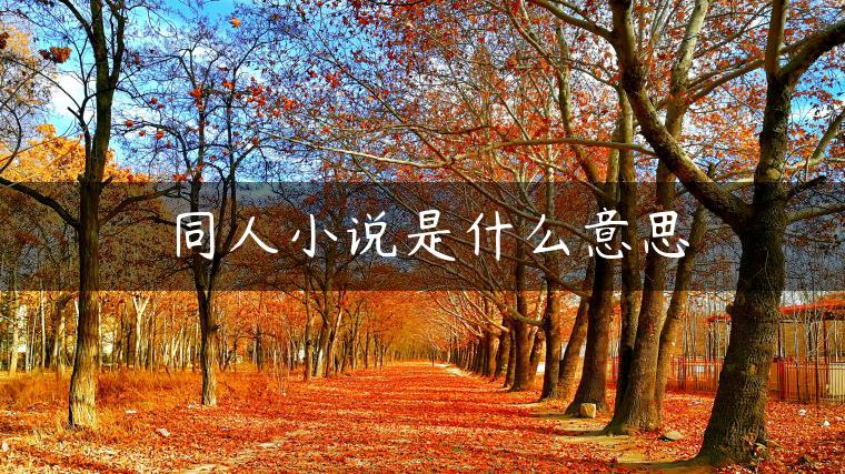 同人小说是什么意思