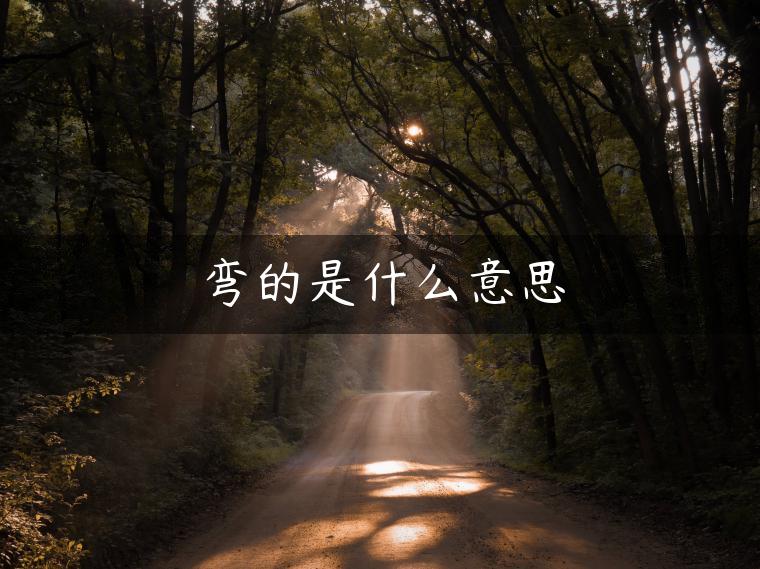 弯的是什么意思