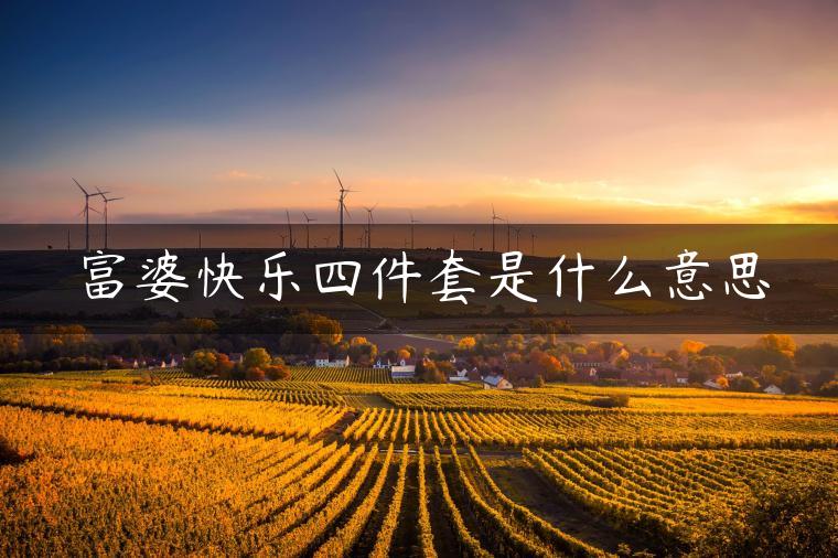 富婆快乐四件套是什么意思