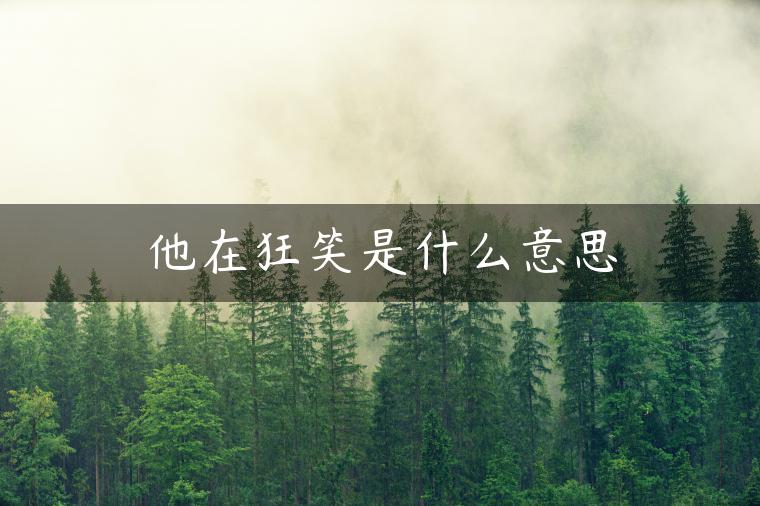 他在狂笑是什么意思