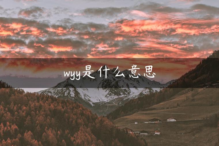 wyy是什么意思