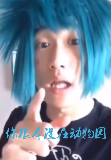 你根本没在动物园什么梗 原句出自杀马特团长 你根本没在动物园什么梗 原句出自杀马特团长