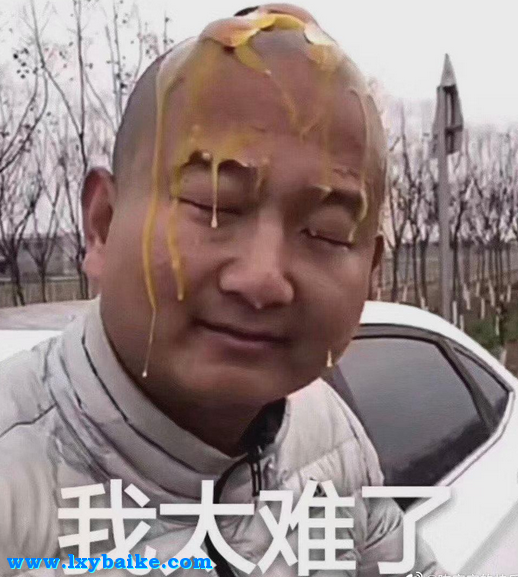 我太难了 我太难了