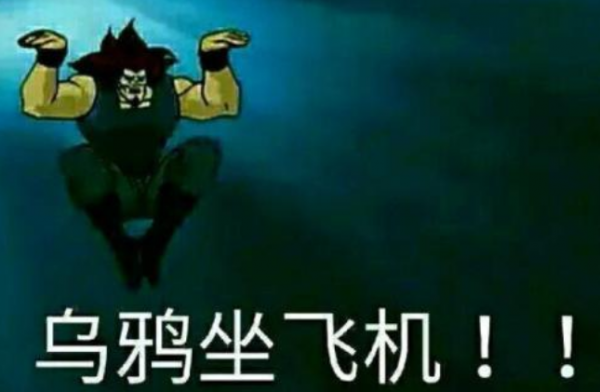 乌鸦坐飞机 乌鸦坐飞机